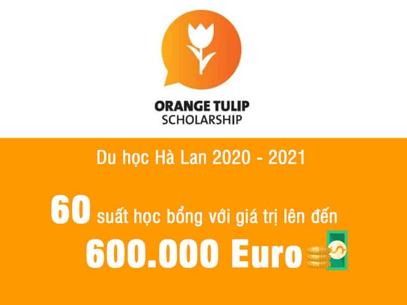OrangeTulip_halan.jpg