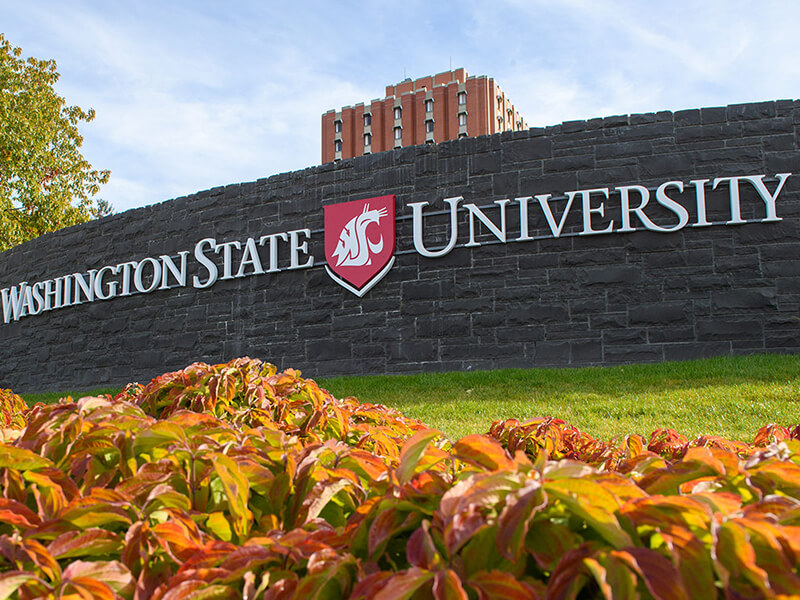 Đại học Washington State