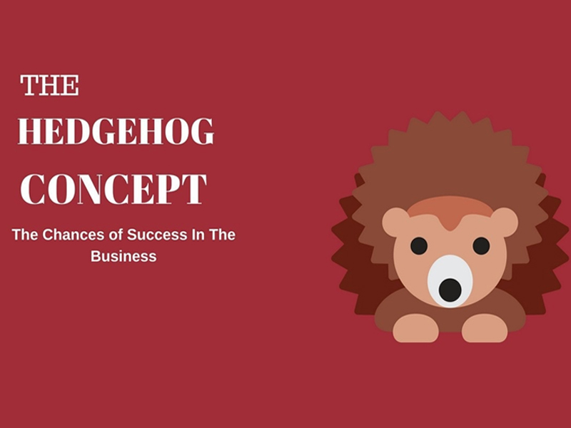 Thuyết Con Nhím Hedgehog Concept