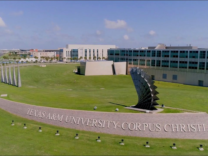 Đại học Texas A&M – Corpus Christi