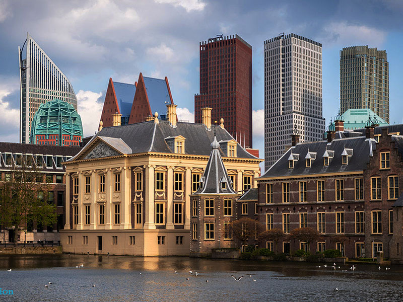 Thành phố The Hague