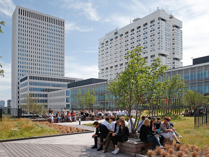 Đại học Erasmus Rotterdam